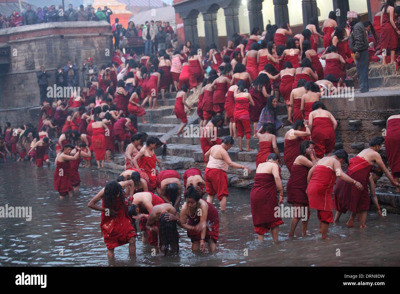 Kathmandu, Nepal. 30. Januar 2014. Nepalesische Frauen hinduistischen Anhänger Baden Heilige im Fluss Bagmati am Ufer des Pashupatinath Tempel während Madhav Narayan Festival in Kathmandu, Nepal, 30. Januar 2014. Nepalesische Hindu-Frauen ein Fasten und beten zu Swasthani Göttin und Gott Madhavnarayan für Langlebigkeit ihrer Ehemänner und Familie Wohlstand während der einmonatigen Festival. Bildnachweis: Sunil Sharma/Xinhua/Alamy Live-Nachrichten Stockfoto