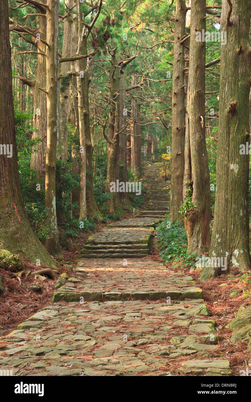 Daimon Pisten auf dem Kumano Kodo in Yoshino-Kumano-Nationalpark Stockfoto