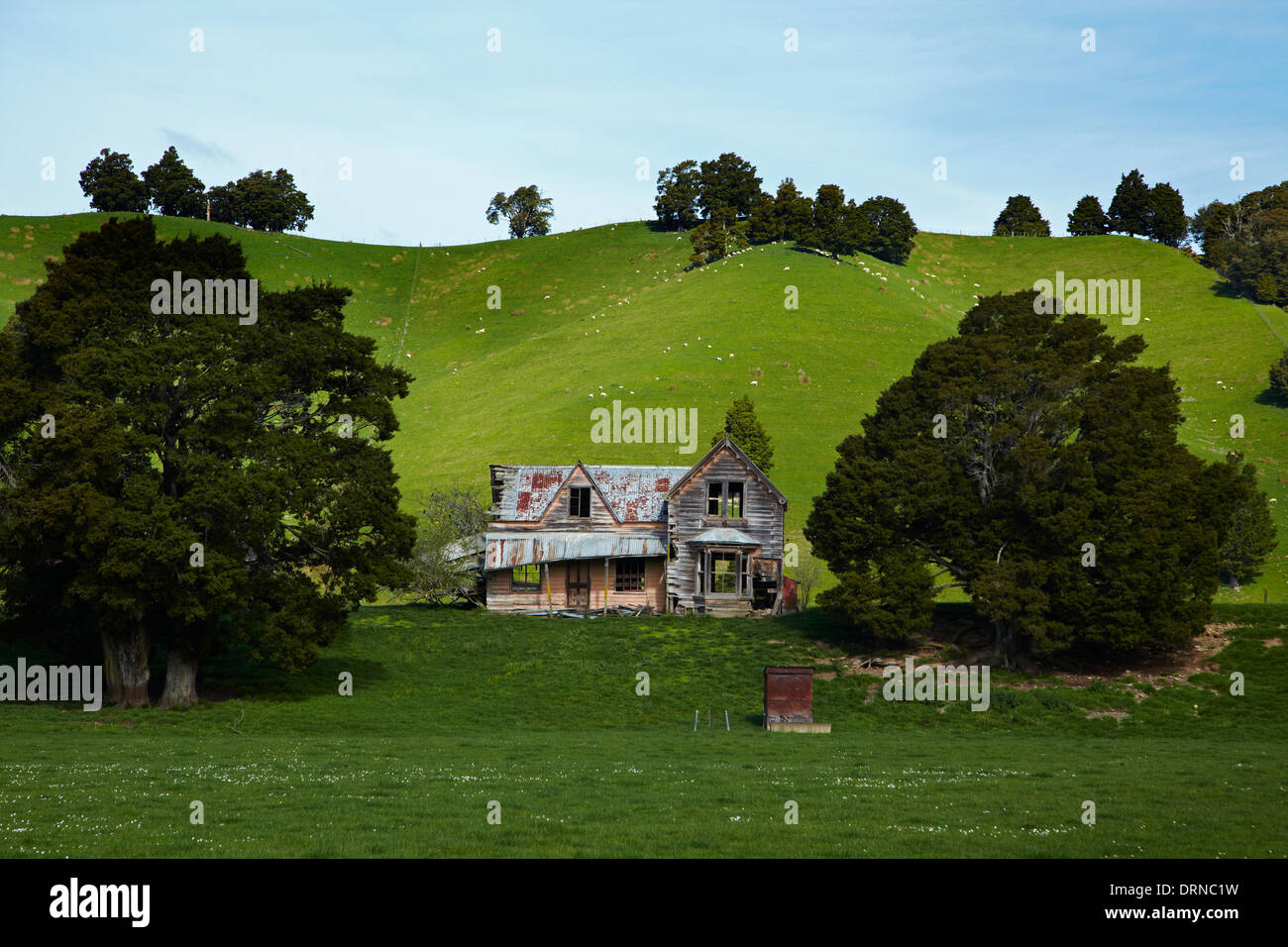 Verfallenes Bauernhaus in der Nähe von Nelson, Südinsel, Neuseeland Stockfoto