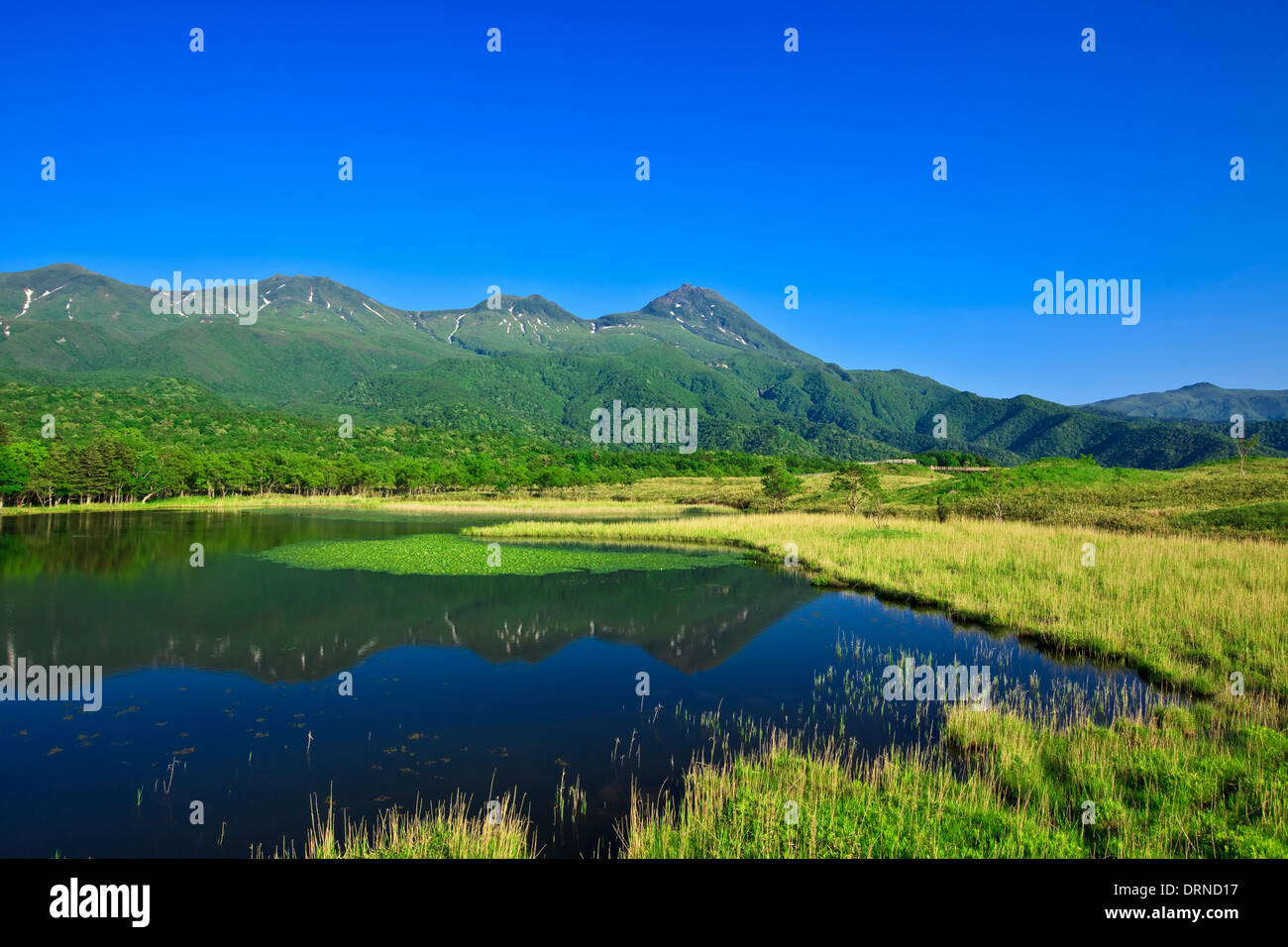 Ein See und Shiretoko-Bergkette im Shiretoko-Nationalpark Stockfoto