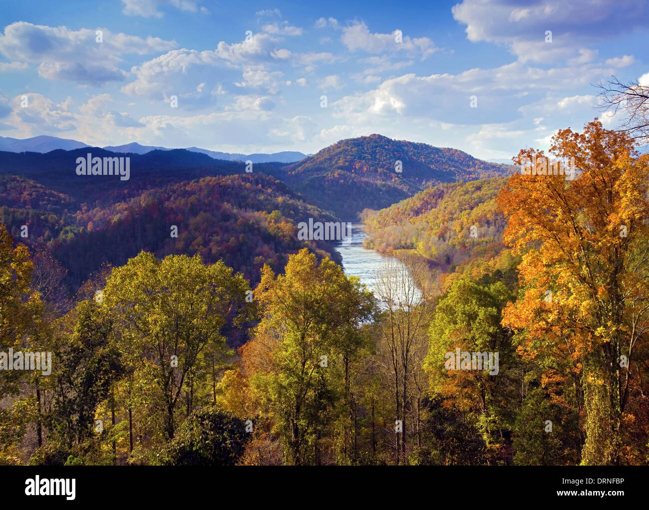 Ein bunter Blick auf die Appalachen, North Carolina, USA, im Herbst Saison Stockfoto