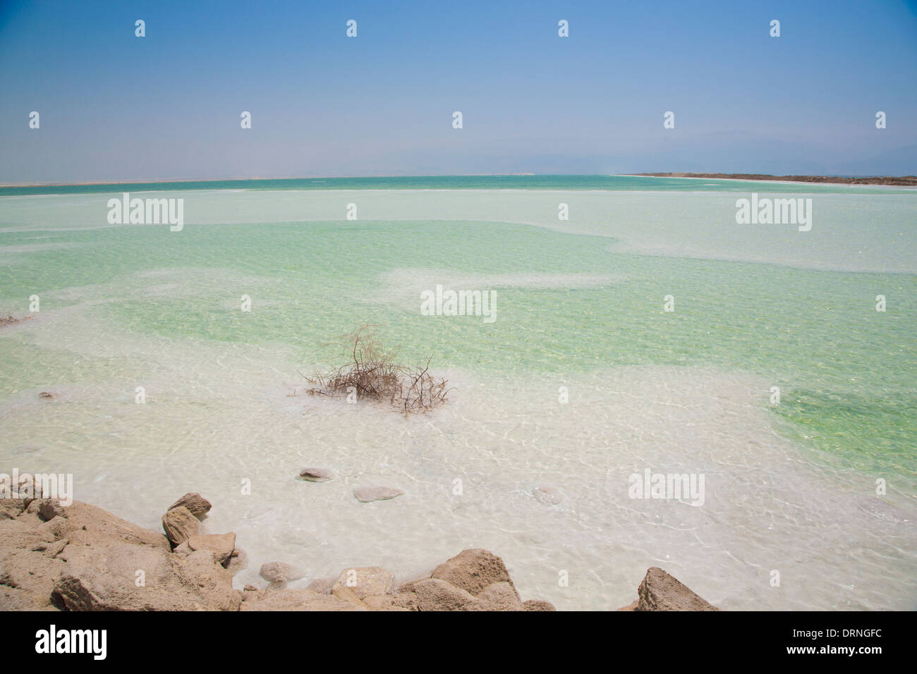 Küste des Toten Meeres Stockfoto