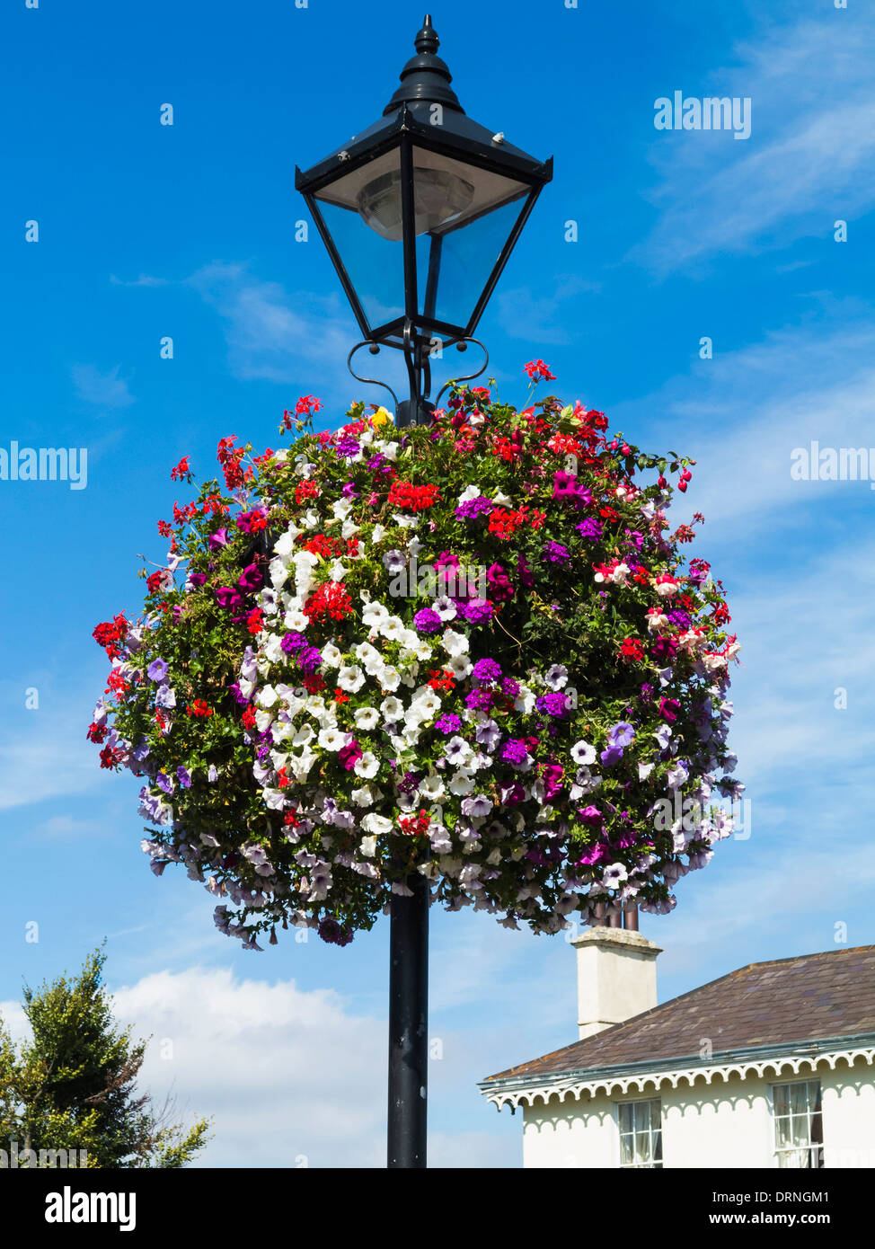 Blumenkorb auf eine alte Lampe Post Dublin, Republik Irland Stockfoto