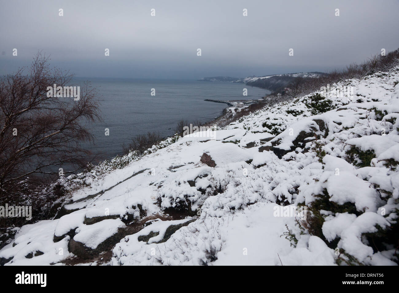 Einen verschneiten Hang über Vang Hafen auf Bornholm. Winter ist da und die Landschaft ist mit frischem Schnee bedeckt. Stockfoto