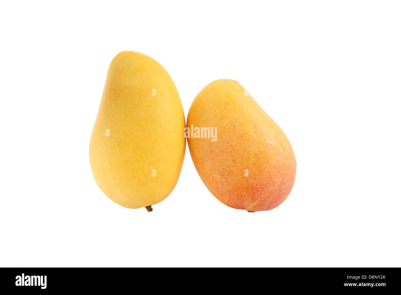 zwei Reife mango Stockfoto