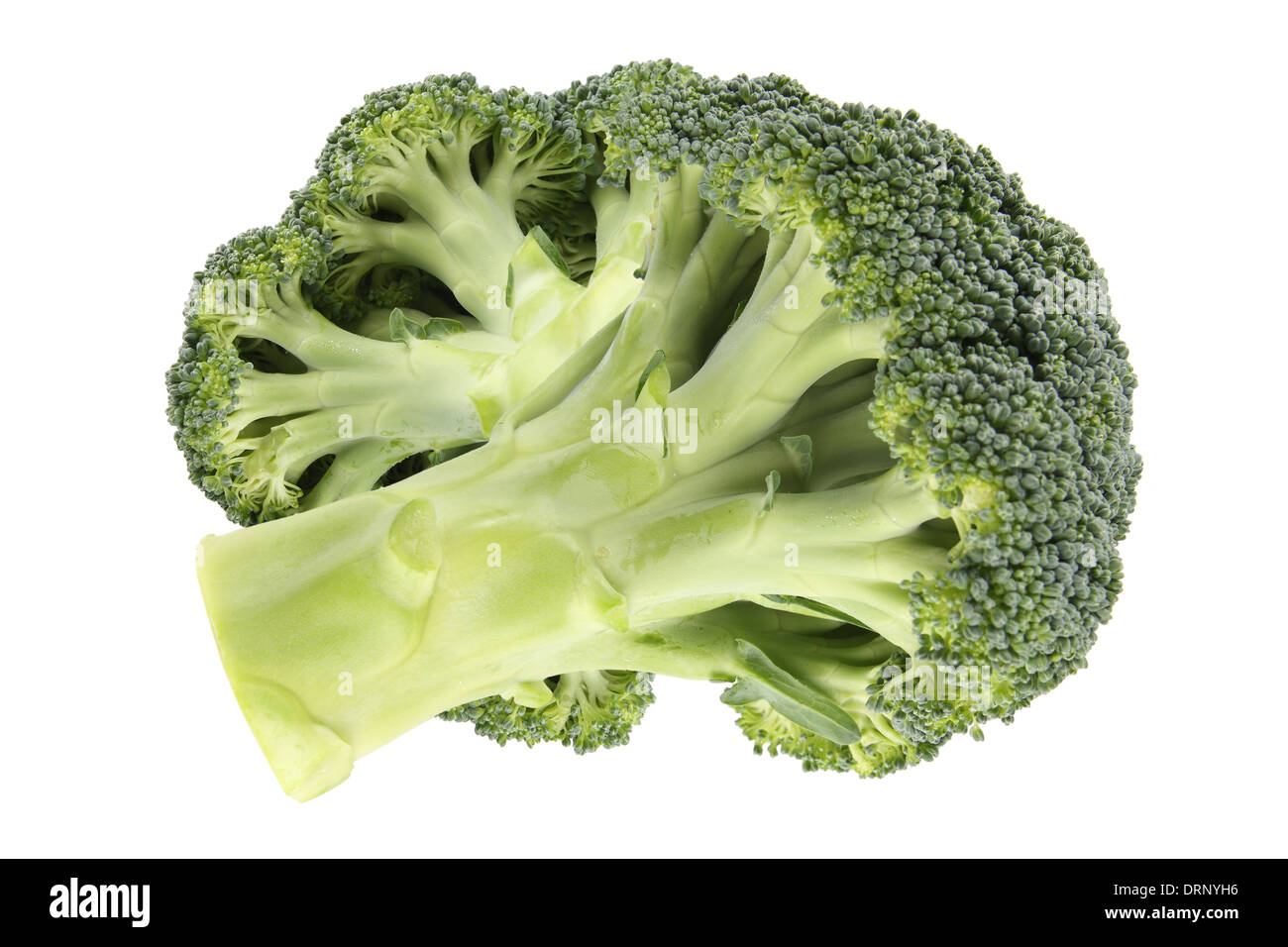 zwei grüne Broccoli-Kohl Stockfoto
