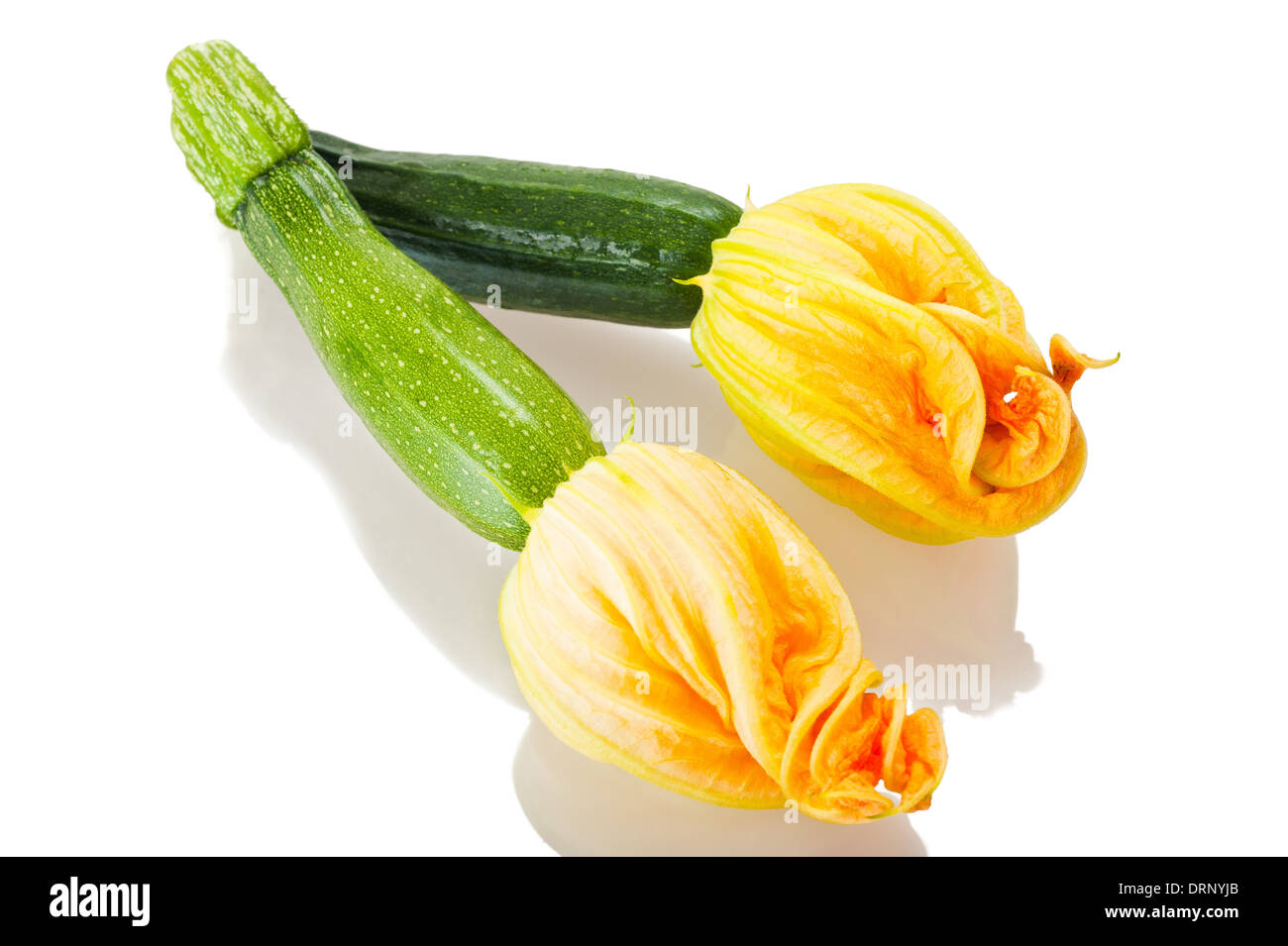 Zucchini mit Blüten isoliert auf weiss Stockfoto