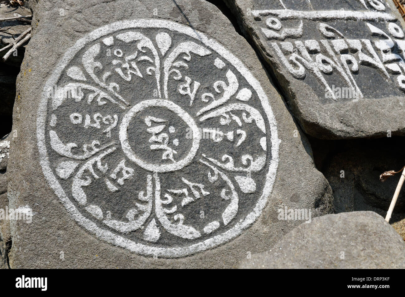 Ein Mandala, gemeißelt in Stein in ein Mani-Mauer in Nepal Stockfoto