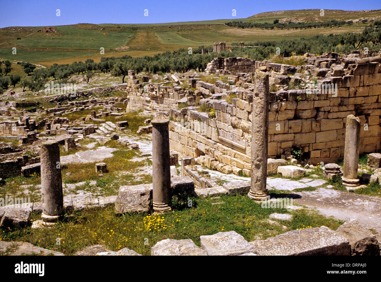 Tunesien, Dougga. Römische Ruinen. Blick auf den Tempel der Caelestis. 3.. Jahrhundert n. Chr. Olivenbäume an den Berghängen. Stockfoto