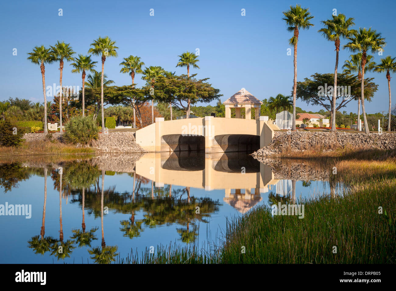 Brücke und Palmen Bäume über Kanal in der Nähe von Naples, Florida, USA Stockfoto