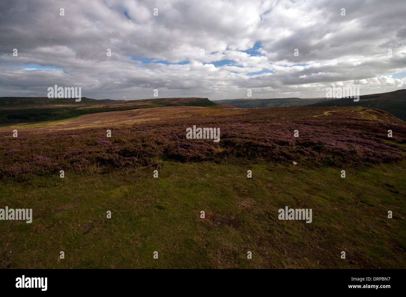 Whinstone Lee Tor am Derwent Rand im Peak District National Park. Stanage Edge und Bamford Edge kann in der Ferne gesehen werden. Stockfoto