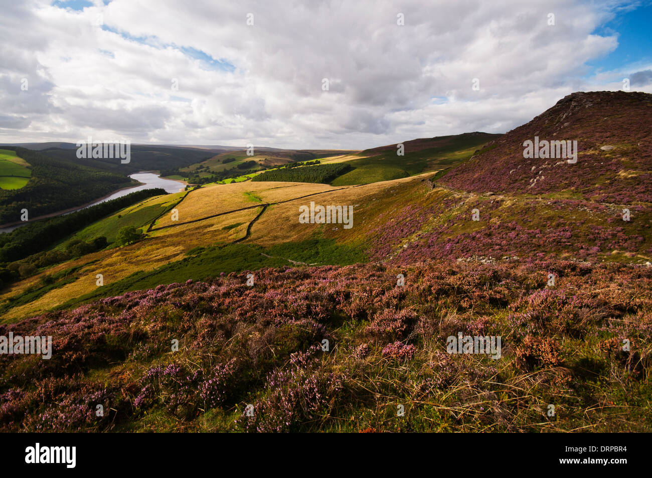 Blick nach Norden entlang der Derwent Valley von Whinstone Lee Tor im Peak District National Park. Stockfoto