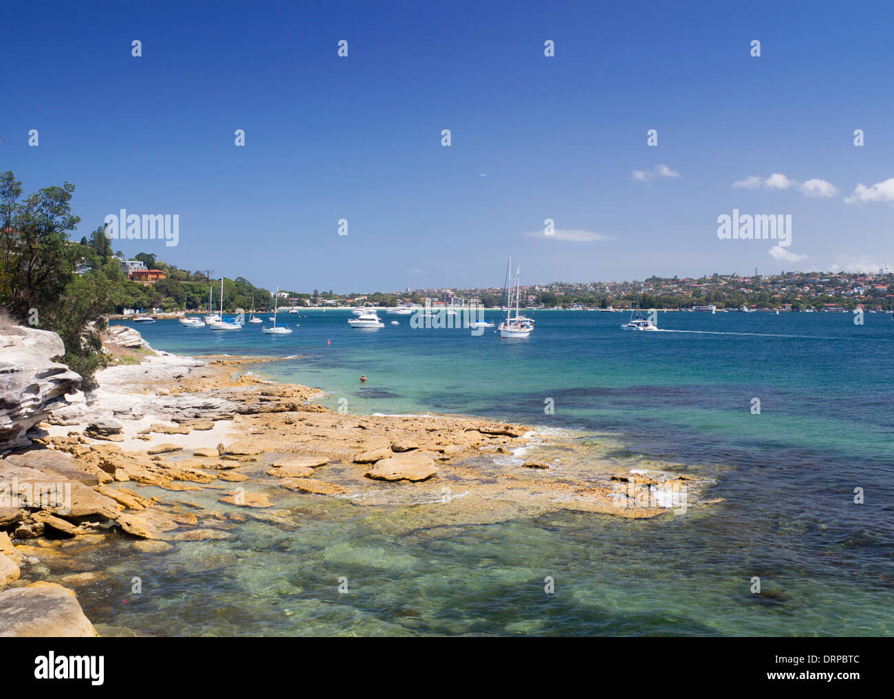 Blick entlang der Vaucluse Hermitage Vorland, Rose Bay östlichen Vororte Sydney New South Wales New South Wales Australien Stockfoto