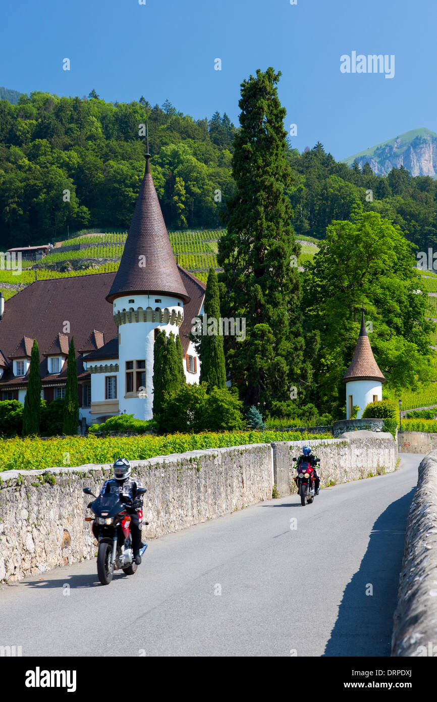 Weingut Château Maison Blanche in Yvorne in der Chablais-Region der Schweiz Stockfoto