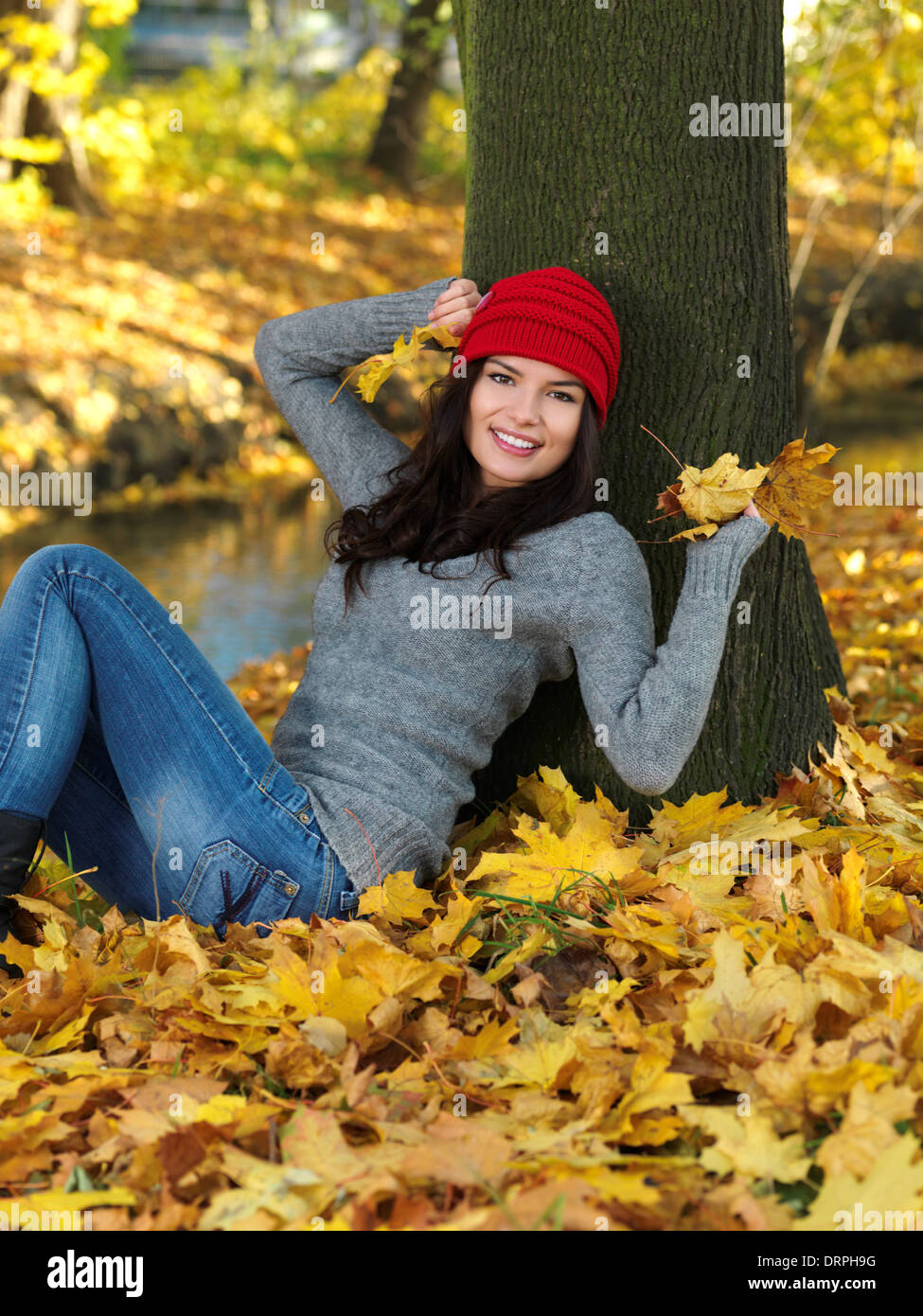 Schönheit im Herbst Stockfoto