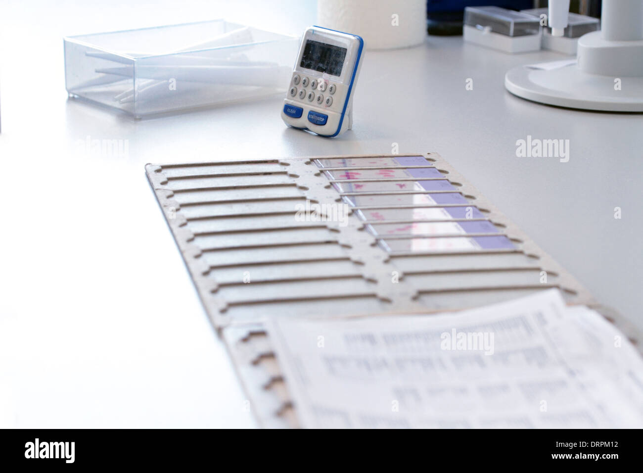 Glas-Objektträger mit histologischen Proben in eine Histologie-labor Stockfoto