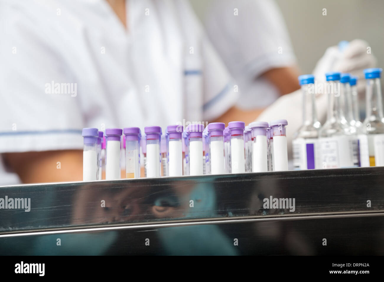 Barcodes im Reagenzglas im Labor Stockfoto