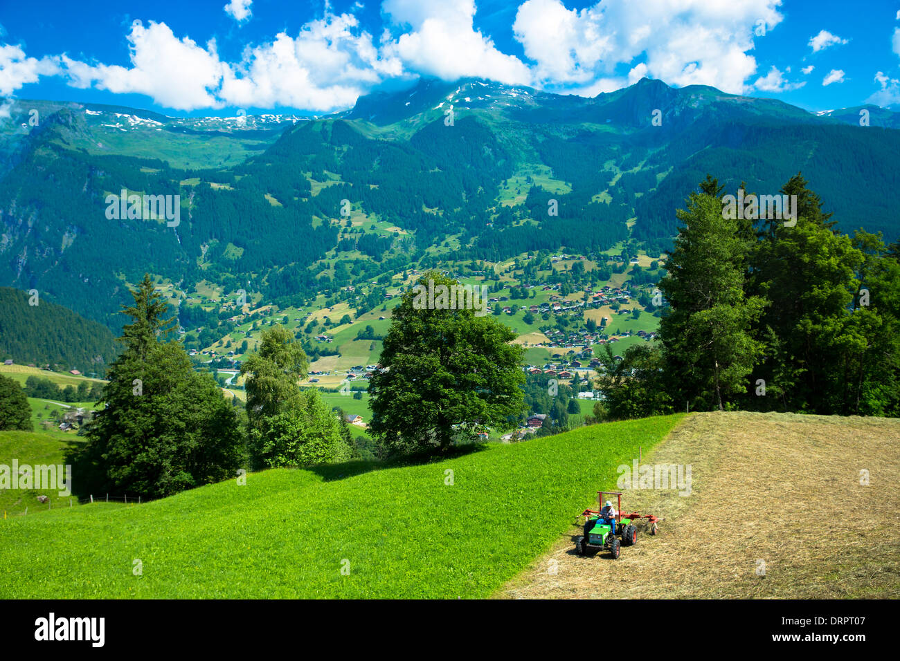 Landwirt drehen schneiden Heu trocknen bei Grindelwald durch den Eiger in den Schweizer Alpen im Berner Oberland, Schweiz Stockfoto