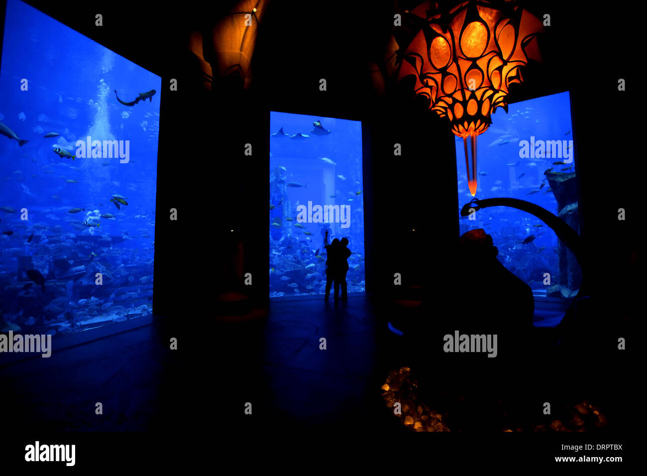 Aquarium Stockfoto