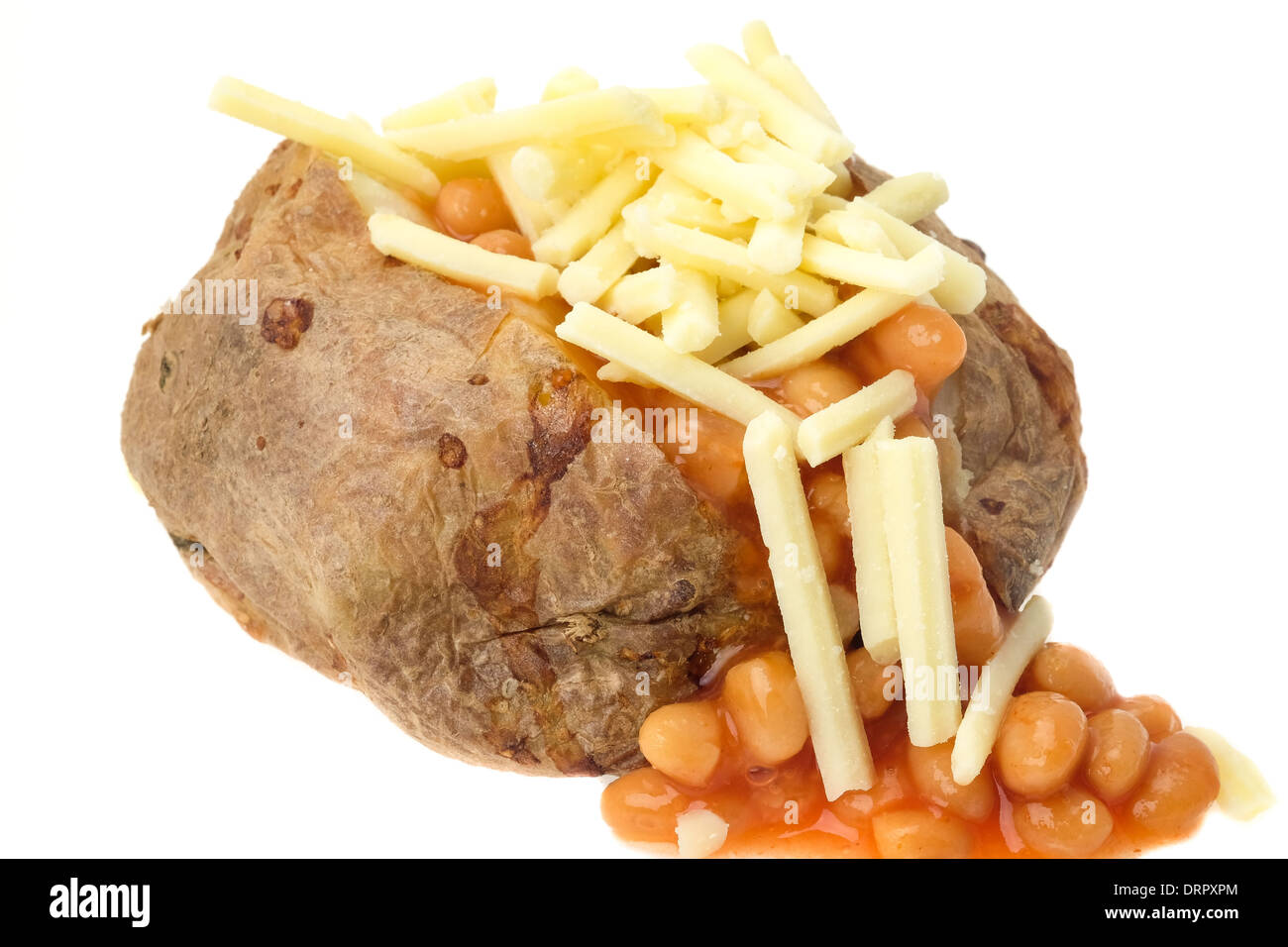Heiße Ofenkartoffeln gefüllt mit gebackenen Bohnen und geriebenem Käse - Studio gedreht mit weißem Hintergrund Stockfoto