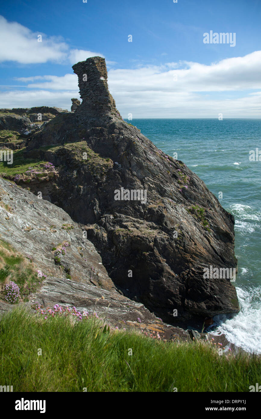 Die Black Castle in der Nähe von Wicklow Stadt, Grafschaft Wicklow, Irland. Stockfoto