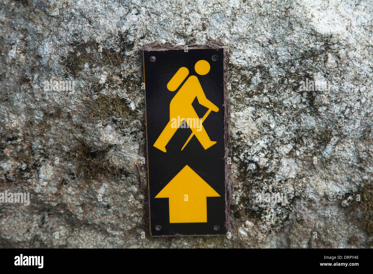 Auszuschildern Zeichen für den Wicklow Way walking Trail, Wicklow Mountains, County Wicklow, Ireland. Stockfoto