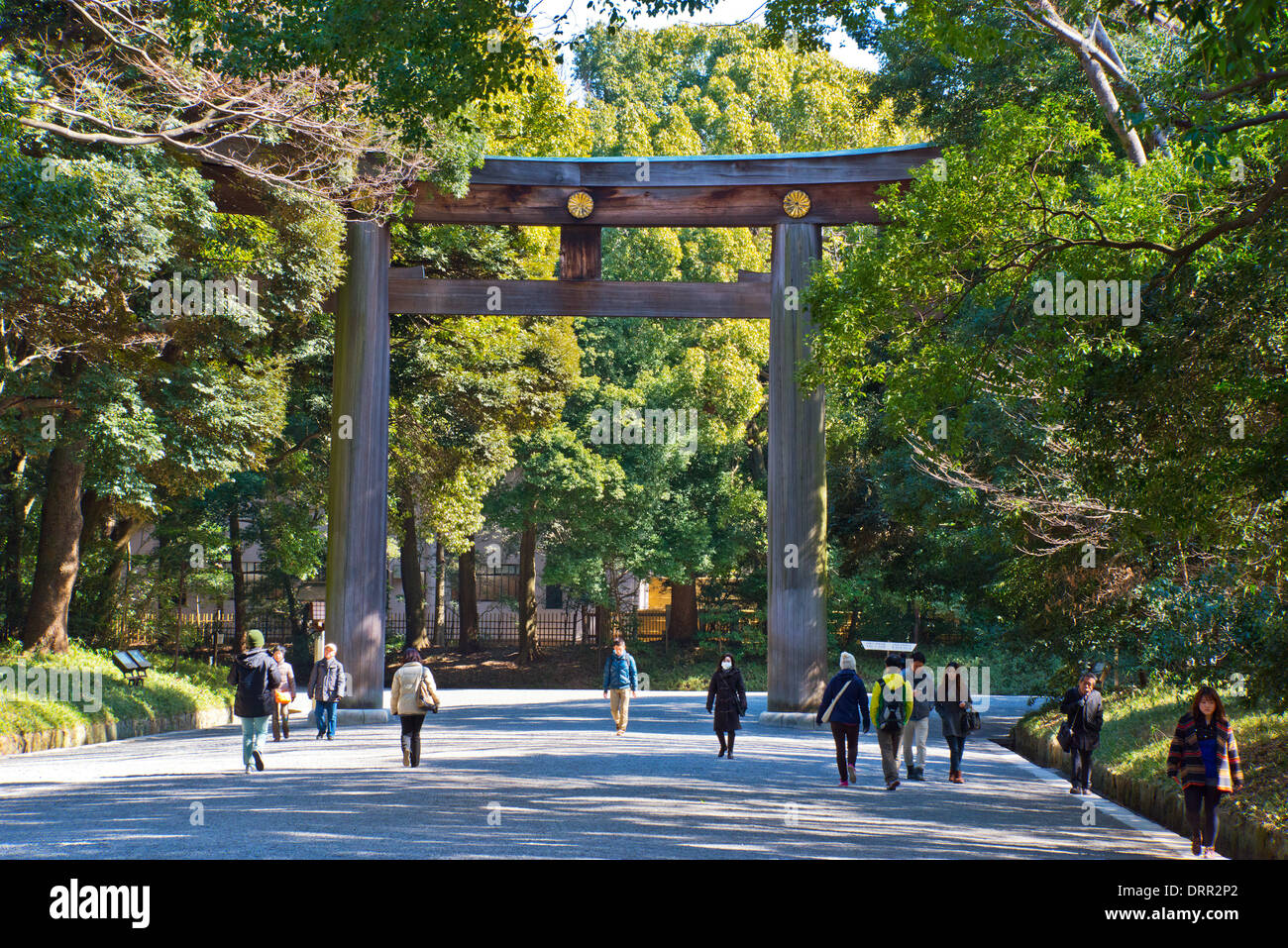Torii Gate, Meiji Shrine, Tokyo, Japan Stockfoto