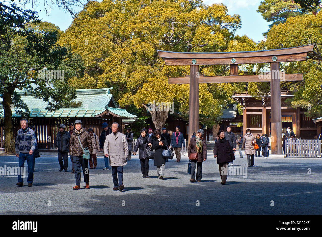 Torii Gate, Meiji Shrine, Tokyo, Japan Stockfoto