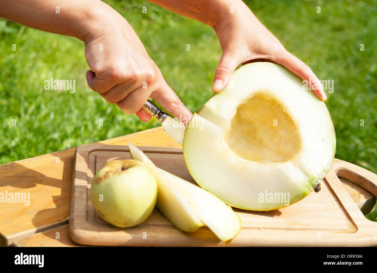 Hand-schneiden-Melone Stockfoto