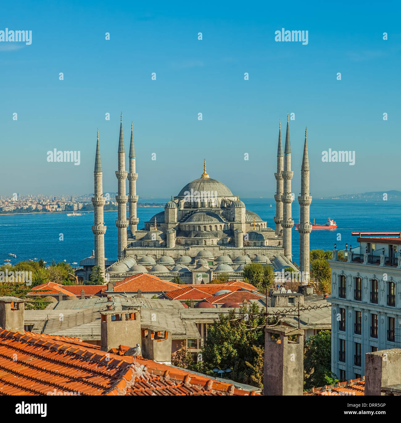 Blaue Moschee in Istanbul, Sultanahmet Park. Die größte Moschee in Istanbul von Sultan Ahmed (Osmanisches Reich). Stockfoto
