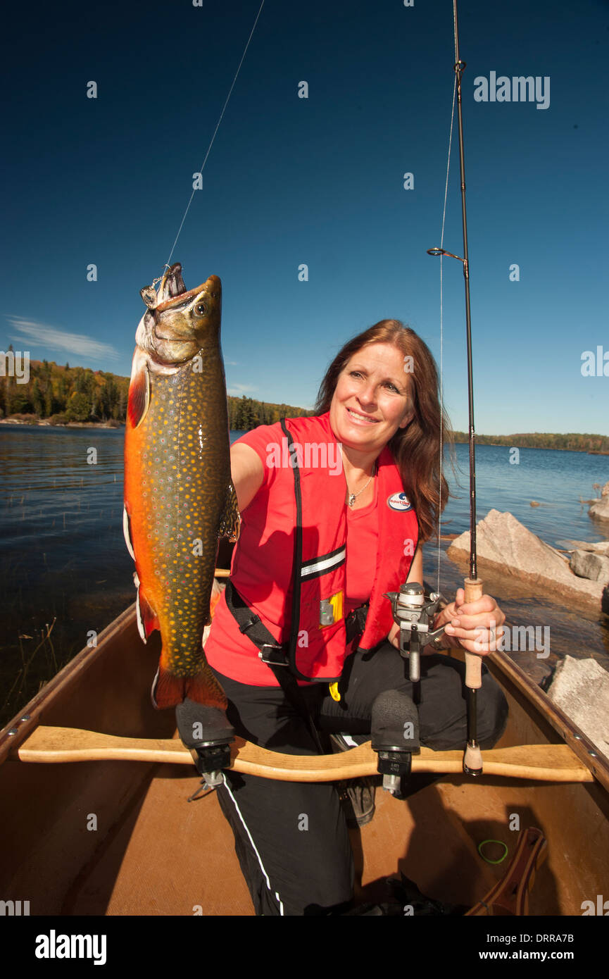 Frau Angler halten eine Sommer-Bachsaibling gefangen sie in einem See im Norden von Ontario. Stockfoto