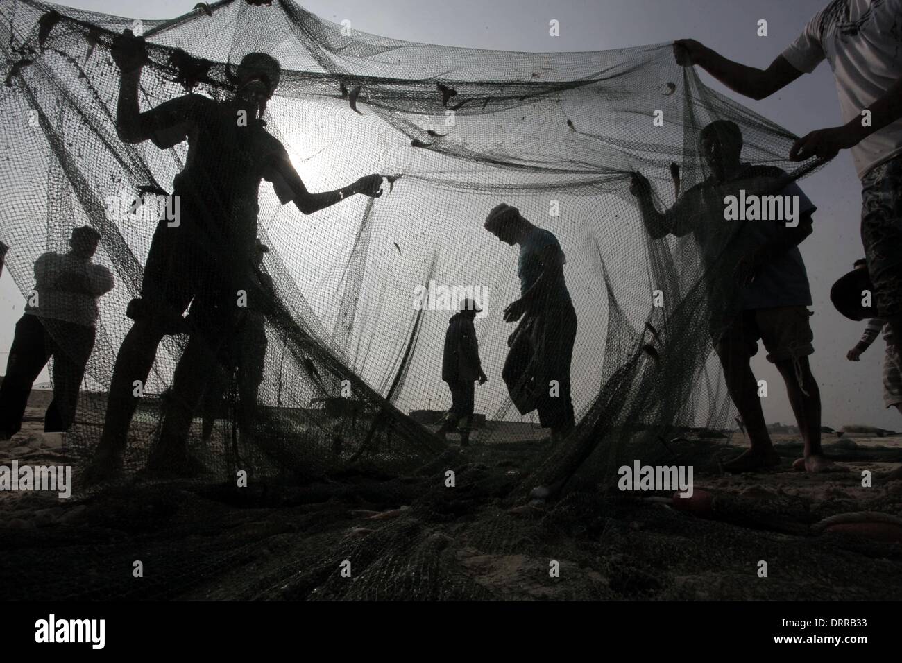 Gaza-Stadt, Gazastreifen, Palästinensische Gebiete. 18. November 2013. Palästinensische Fischer sammeln Fische aus ihrem Netz am Strand von Gaza-Stadt, am 18. November 2013. Israel beschränkt die Fischereizone auf drei Seemeilen nach der Entführung des israelischen Soldaten Gilad Shalit im Jahr 2007. Die Oslo-Abkommen 1993 mit der palästinensischen Autonomiebehörde unterzeichneten besagen, dass Gaza s Fischereizone auf 20 Seemeilen auszudehnen. Die Zone wurde dann erweitert auf sechs Seemeilen als Bestandteil der ägyptischen vermittelten Waffenstillstand im November 2012, aber Israel zeitweise reduzieren auf drei Seemeilen jedes tim Stockfoto