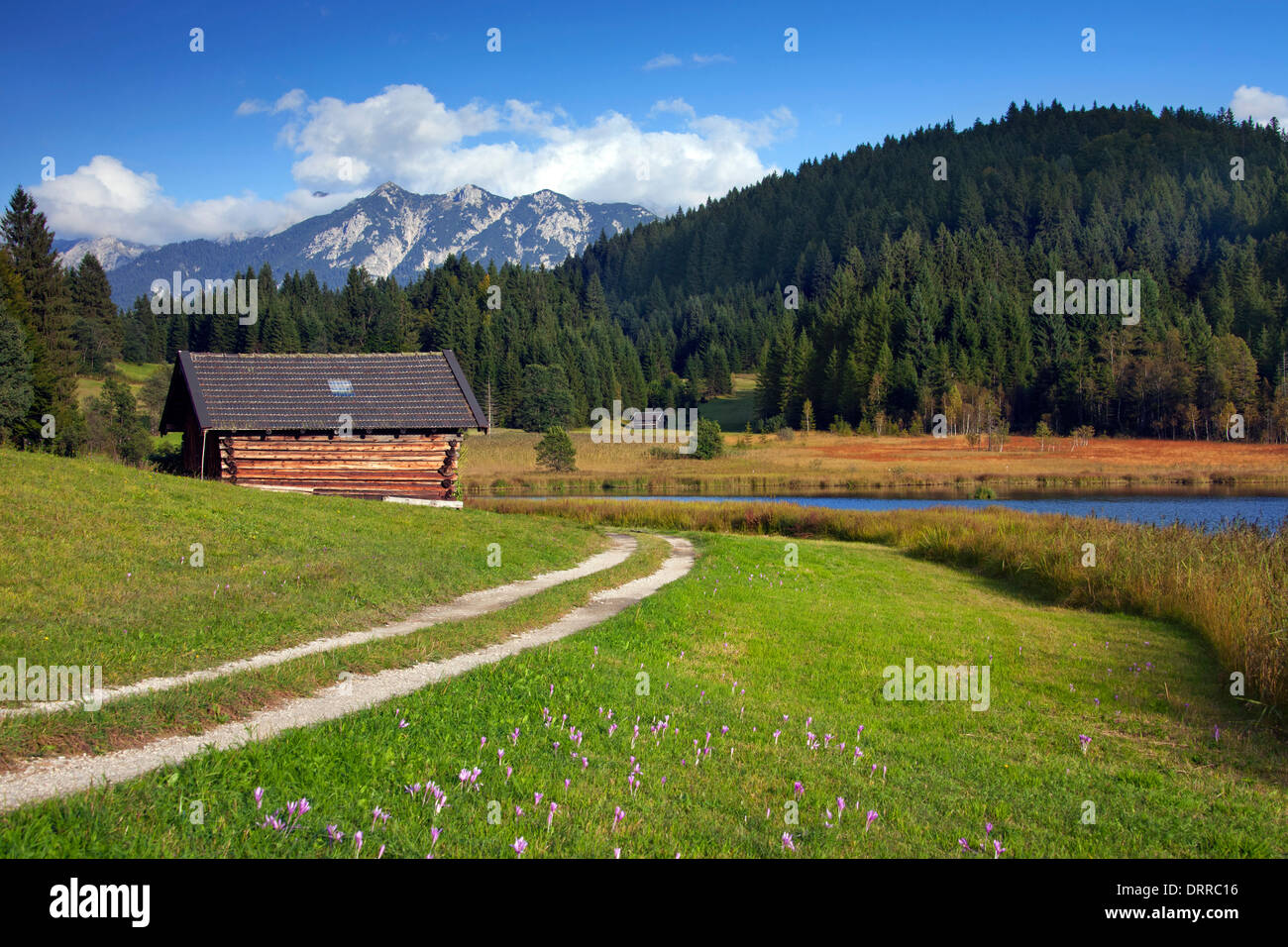 Holzhütten / Getreidespeicher entlang See Gerold / Geroldsee in der Nähe von Mittenwald, Oberbayern, Deutschland Stockfoto