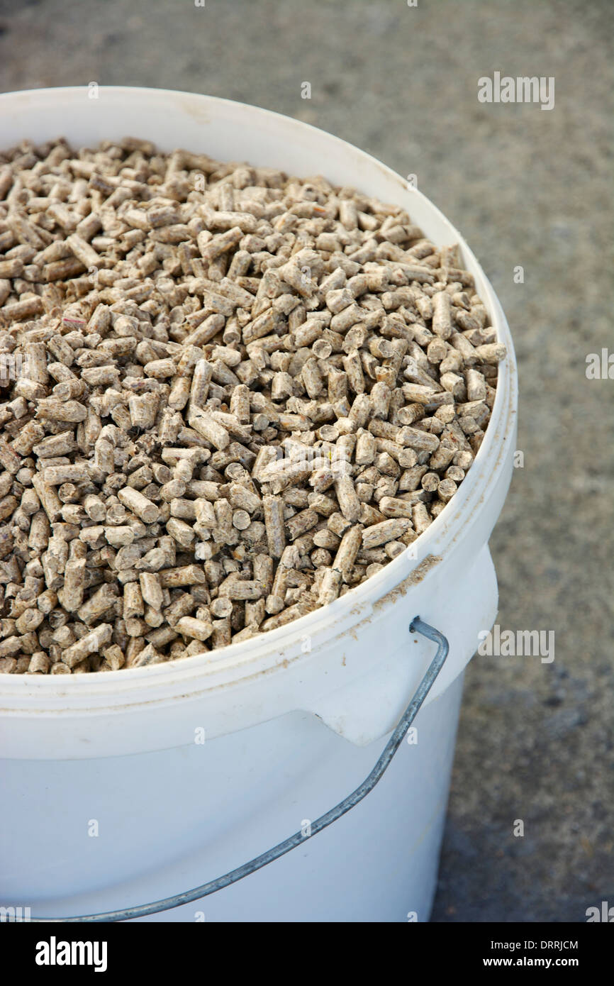 Kunststoff-Eimer voll mit Holz-pellets Stockfoto
