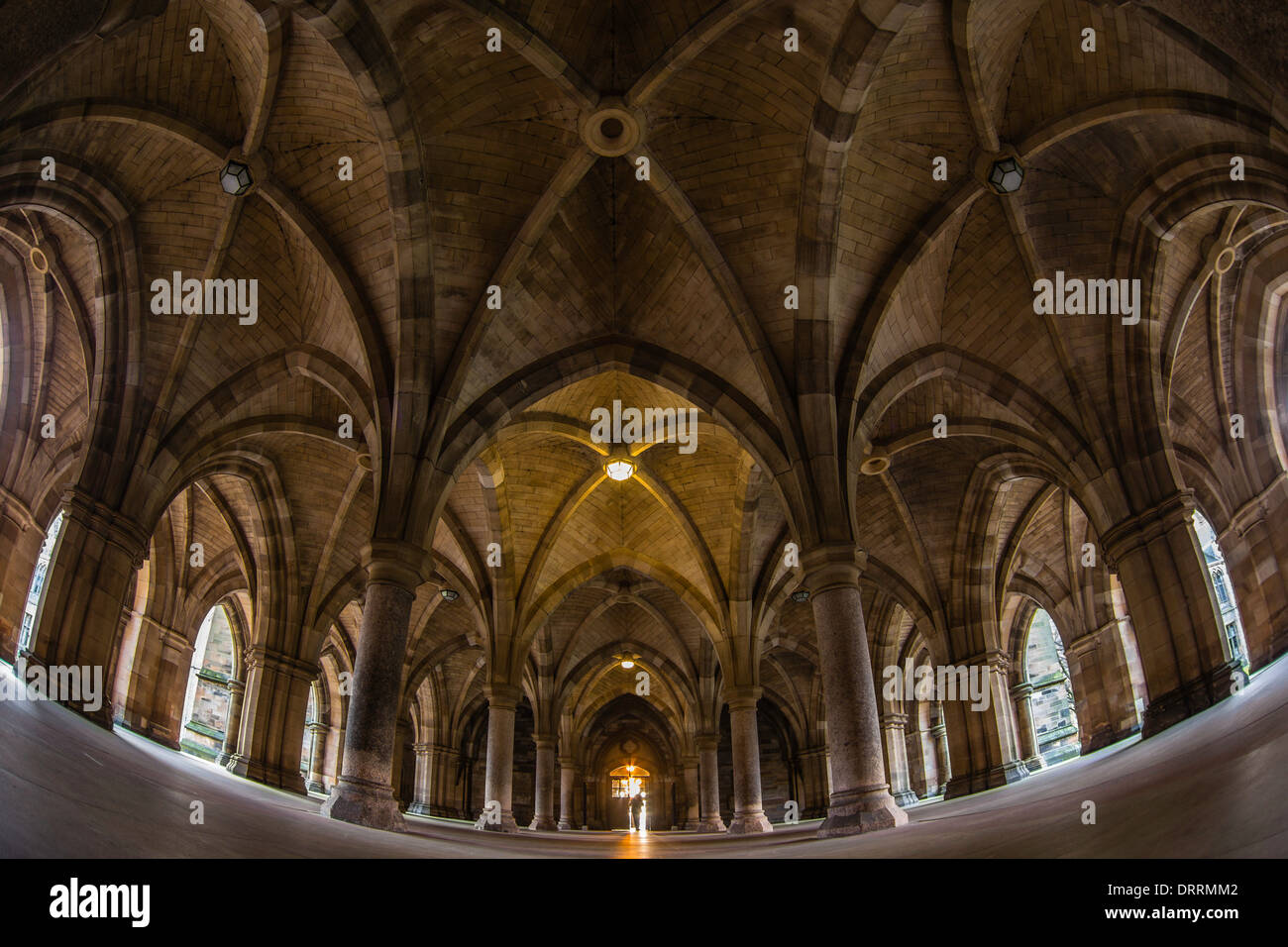 Der Kreuzgang an der University of Glasgow, Schottland. Stockfoto