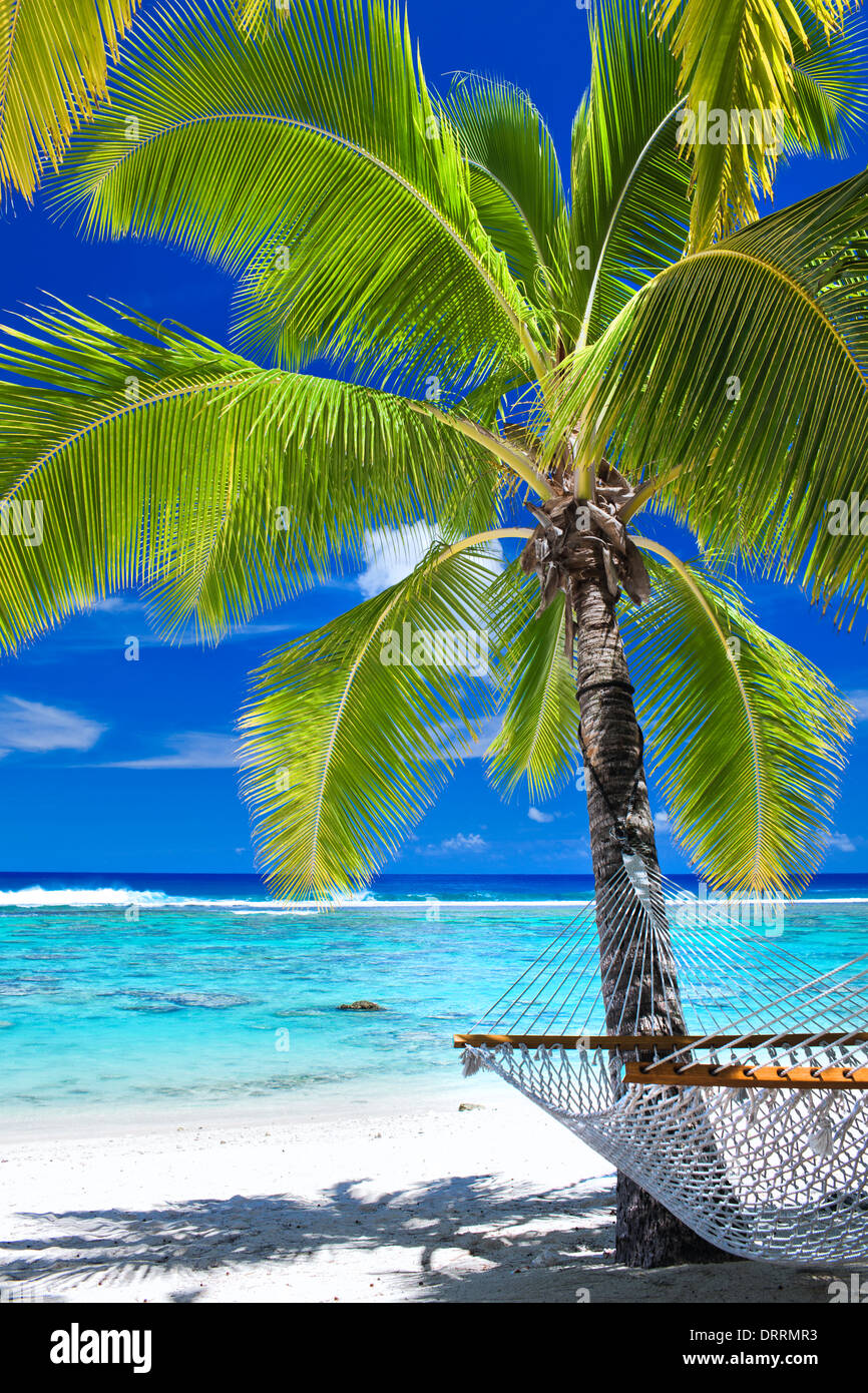 Leere Hängematte unter Palmen am tropischen Strand Stockfoto
