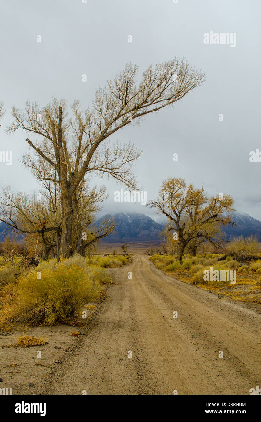 Straße in Manzanar ein WW2 Ära Gefangenenlager, die japanischen Amerikaner Kalifornien Sierras im Hintergrund gehalten Stockfoto