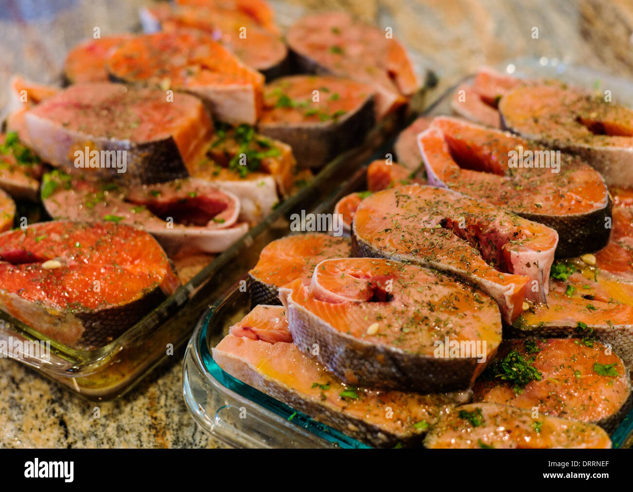 Frische Coho (Silber) Lachs Steaks aus Alaska, marinade vor dem Grillen Stockfoto
