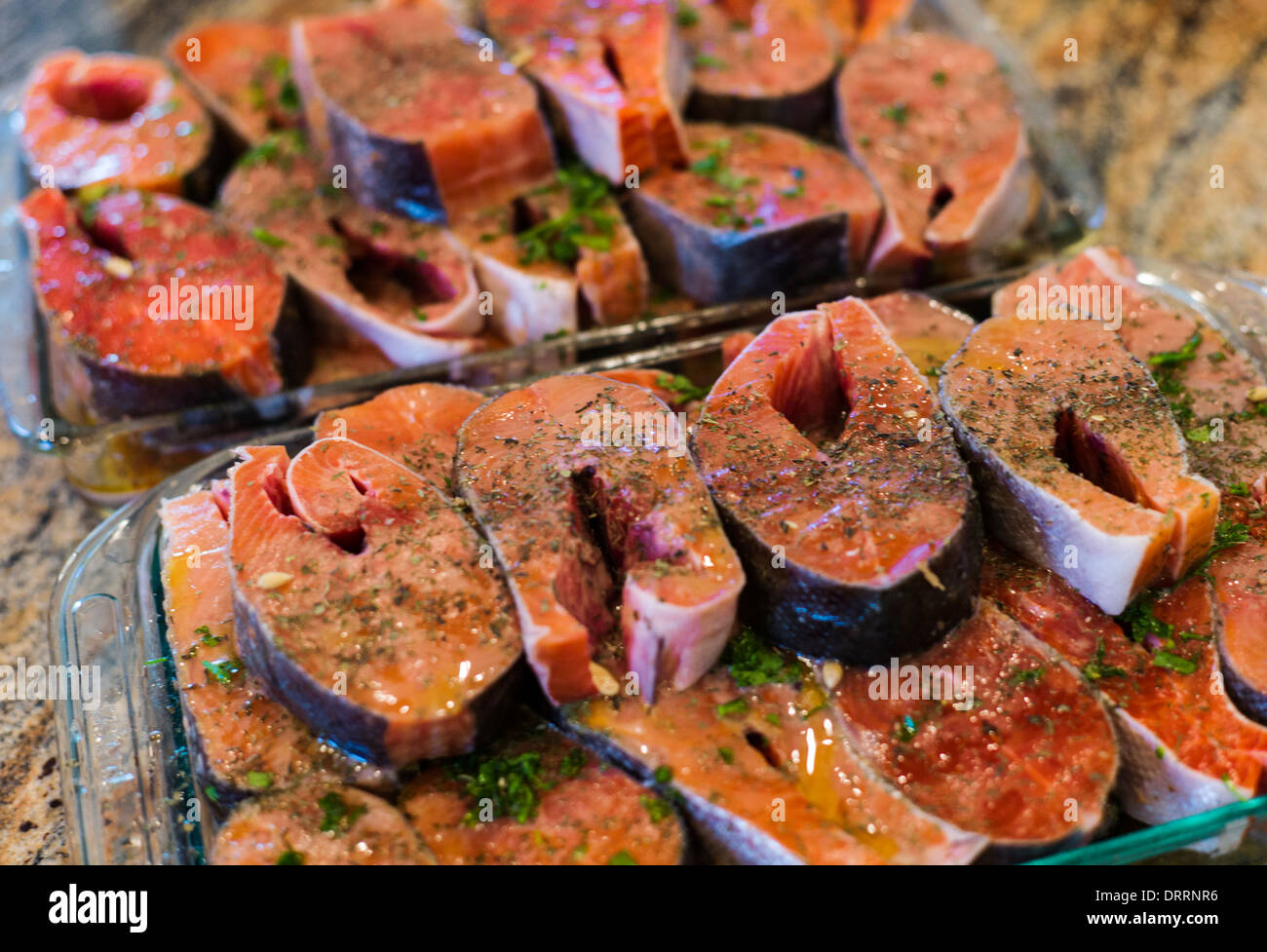 Frische Coho (Silber) Lachs Steaks aus Alaska, marinade vor dem Grillen Stockfoto