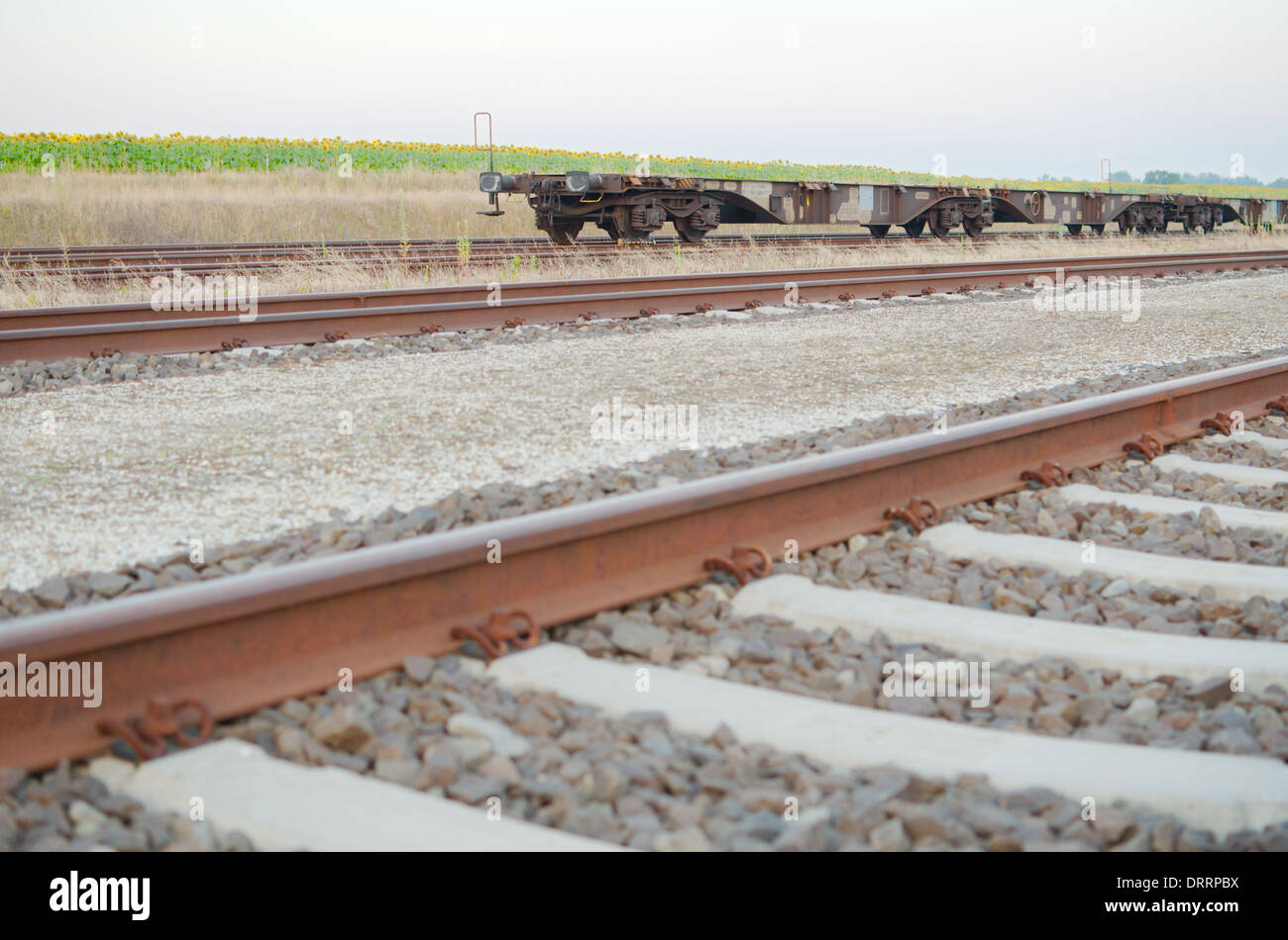 Gleisanlagen mit leeren offenen Wagen seitwärts auf dem Lande Stockfoto