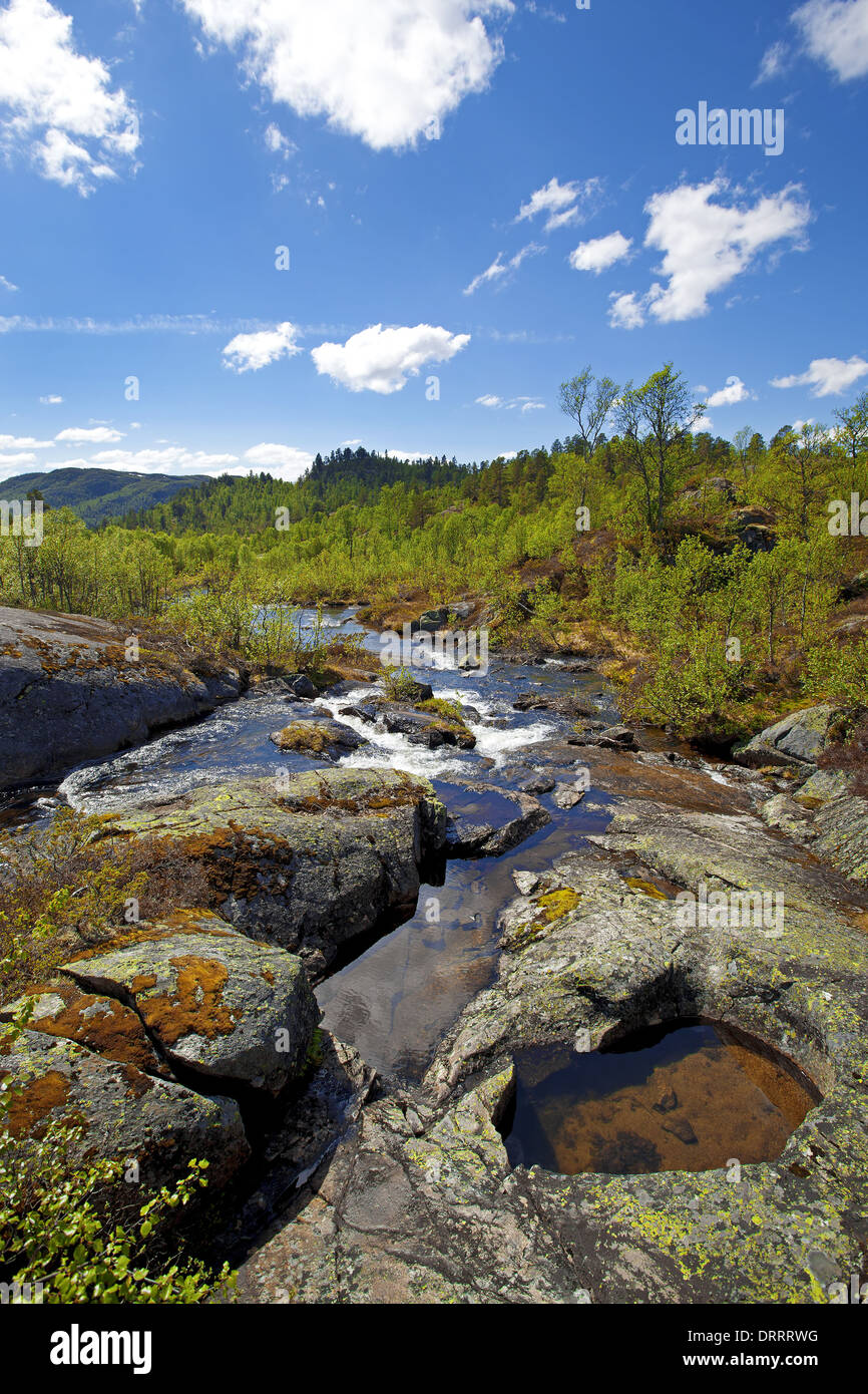 Norwegische Gebirge Stockfoto