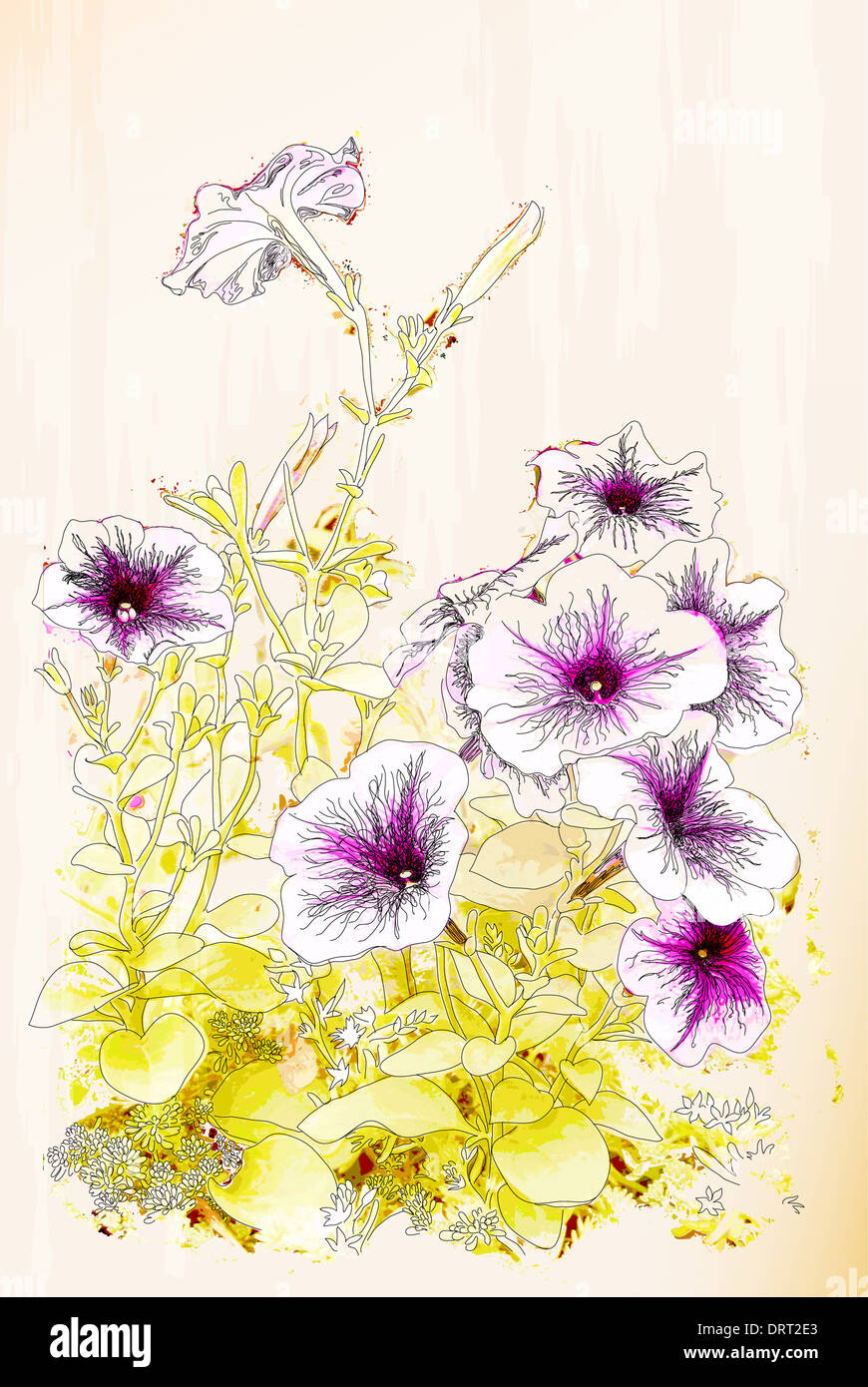 Chinesische Blumen Stockfotos Und Bilder Kaufen Alamy