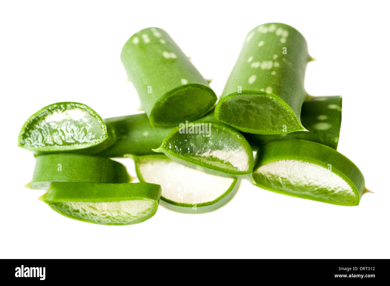 Aloe Vera isoliert auf weiss Stockfoto