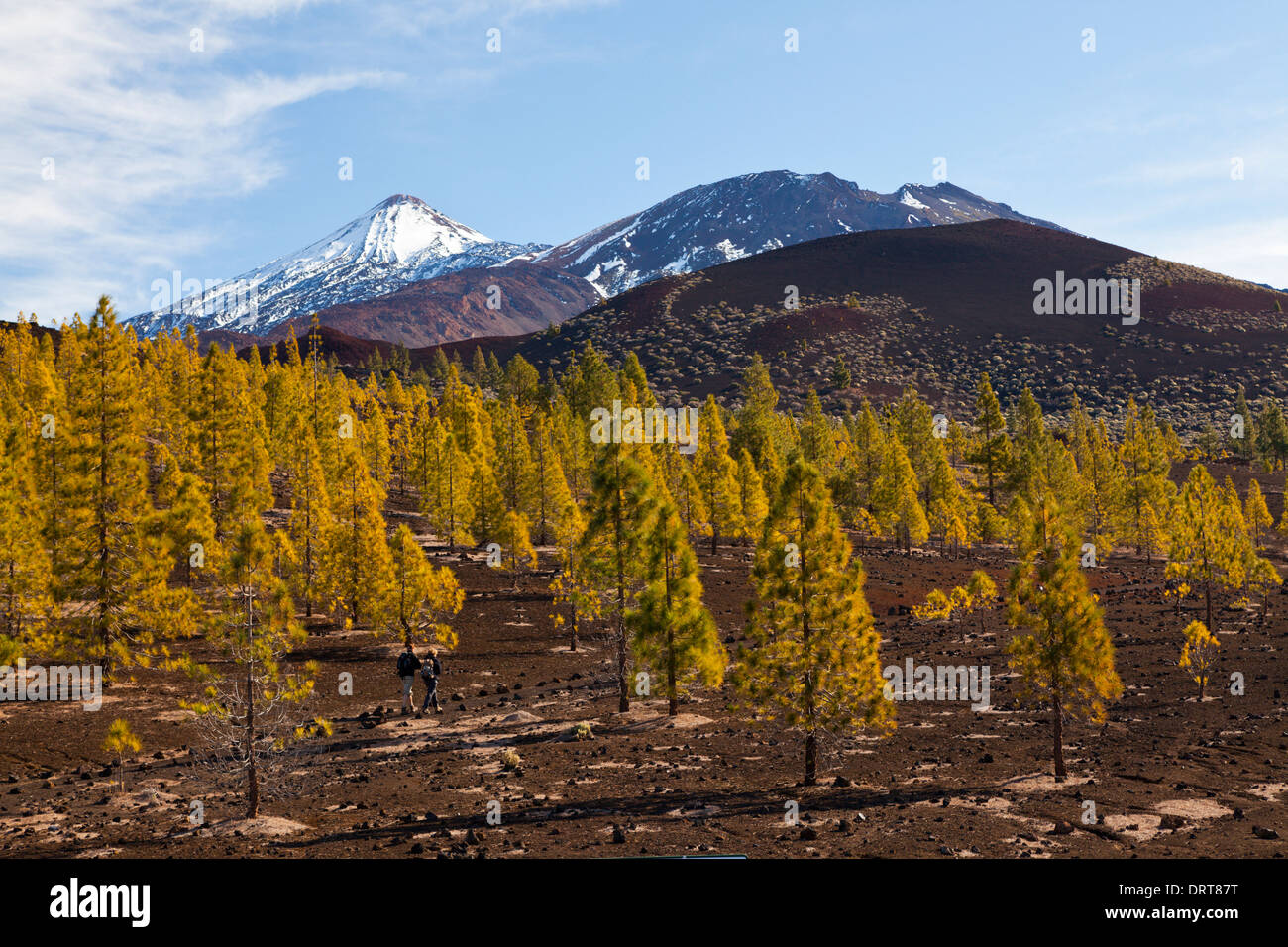 Caldera Landschaft des Teide National Park, Teneriffa, Spanien Stockfoto