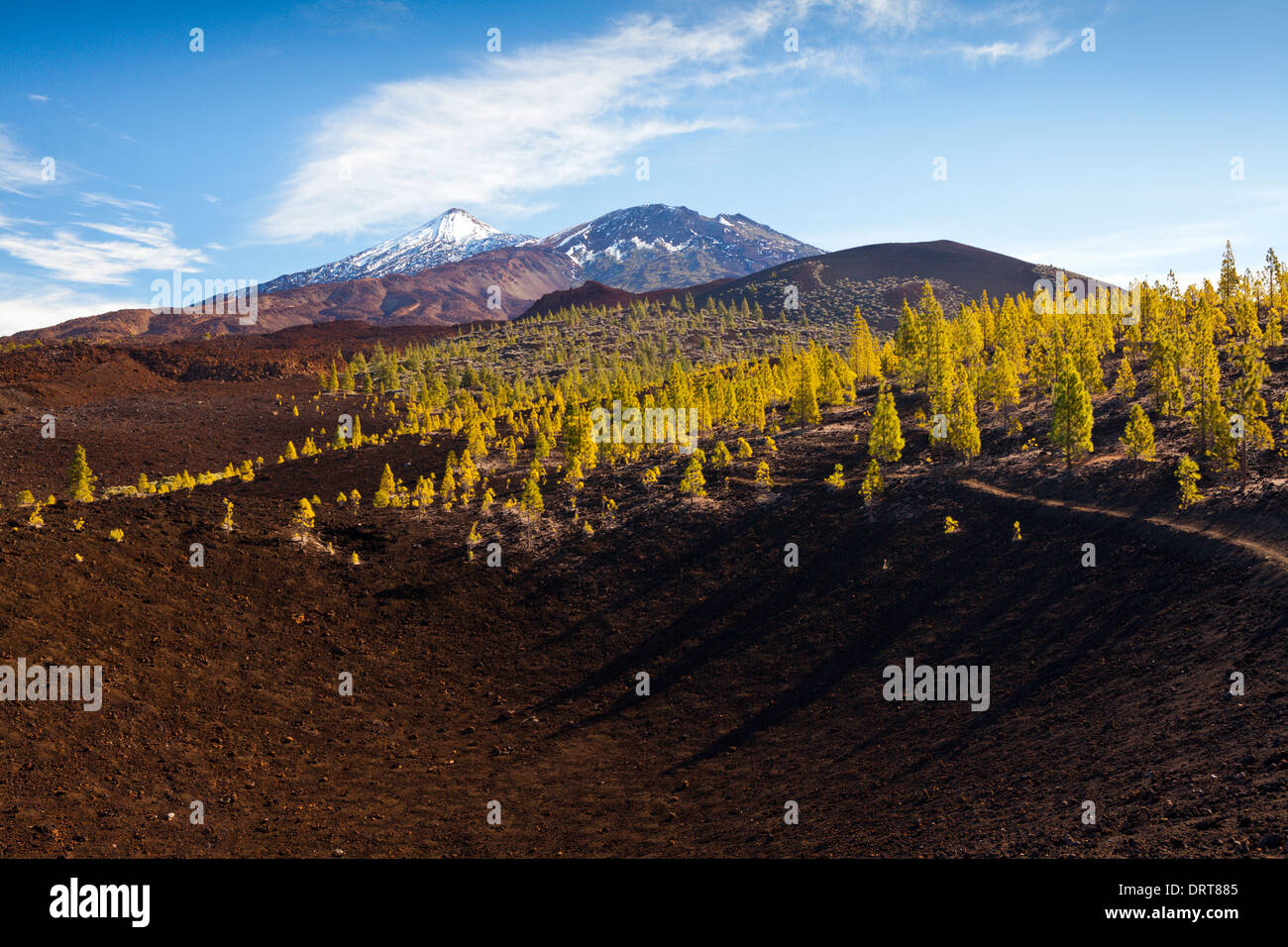 Caldera Landschaft des Teide National Park, Teneriffa, Spanien Stockfoto