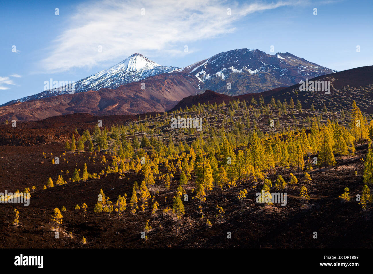 Caldera Landschaft des Teide National Park, Teneriffa, Spanien Stockfoto