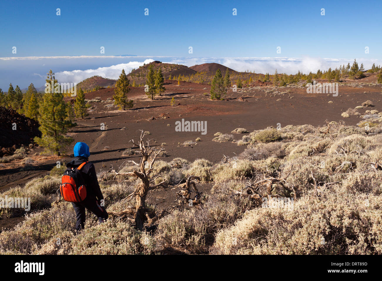 Caldera Landschaft des Teide National Park, Teneriffa, Spanien Stockfoto