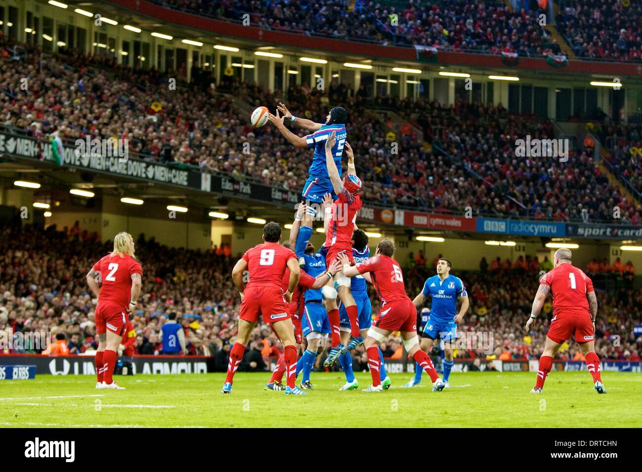 Cardiff, Wales. 1. Februar 2014. Italien schloss Marco Bortolami (Zebre) während des sechs-Nationen-Spiels zwischen Wales und Italien aus dem Millennium Stadium. Bildnachweis: Aktion Plus Sport/Alamy Live-Nachrichten Stockfoto