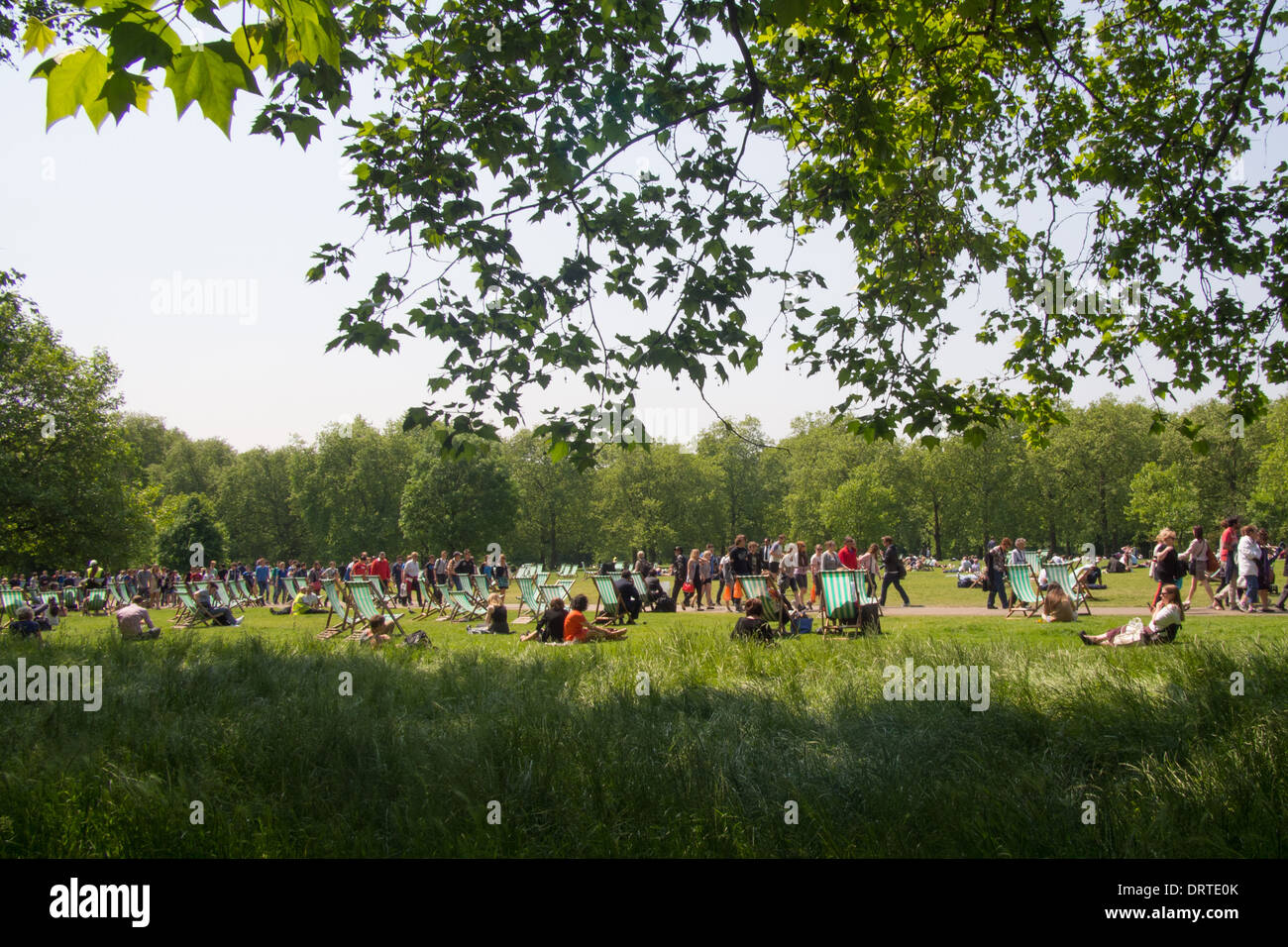 Green Park London Stockfoto