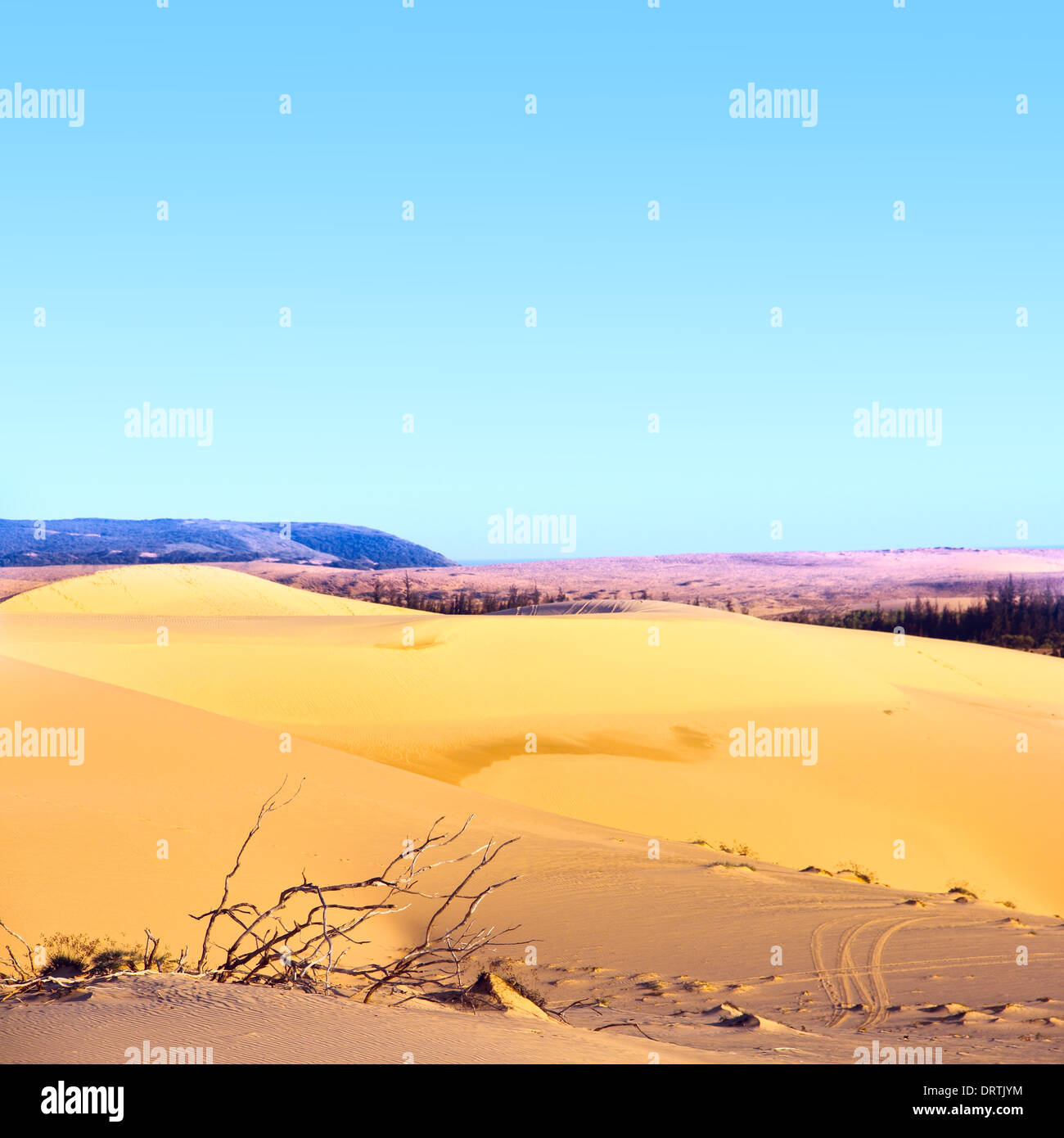 Sand Wüstenlandschaft unter bluy Himmel am sonnigen Tag Stockfoto